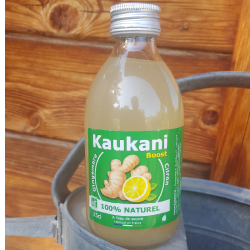 Kaukani Boost Gingembre / Citron 25 cl - * BIO